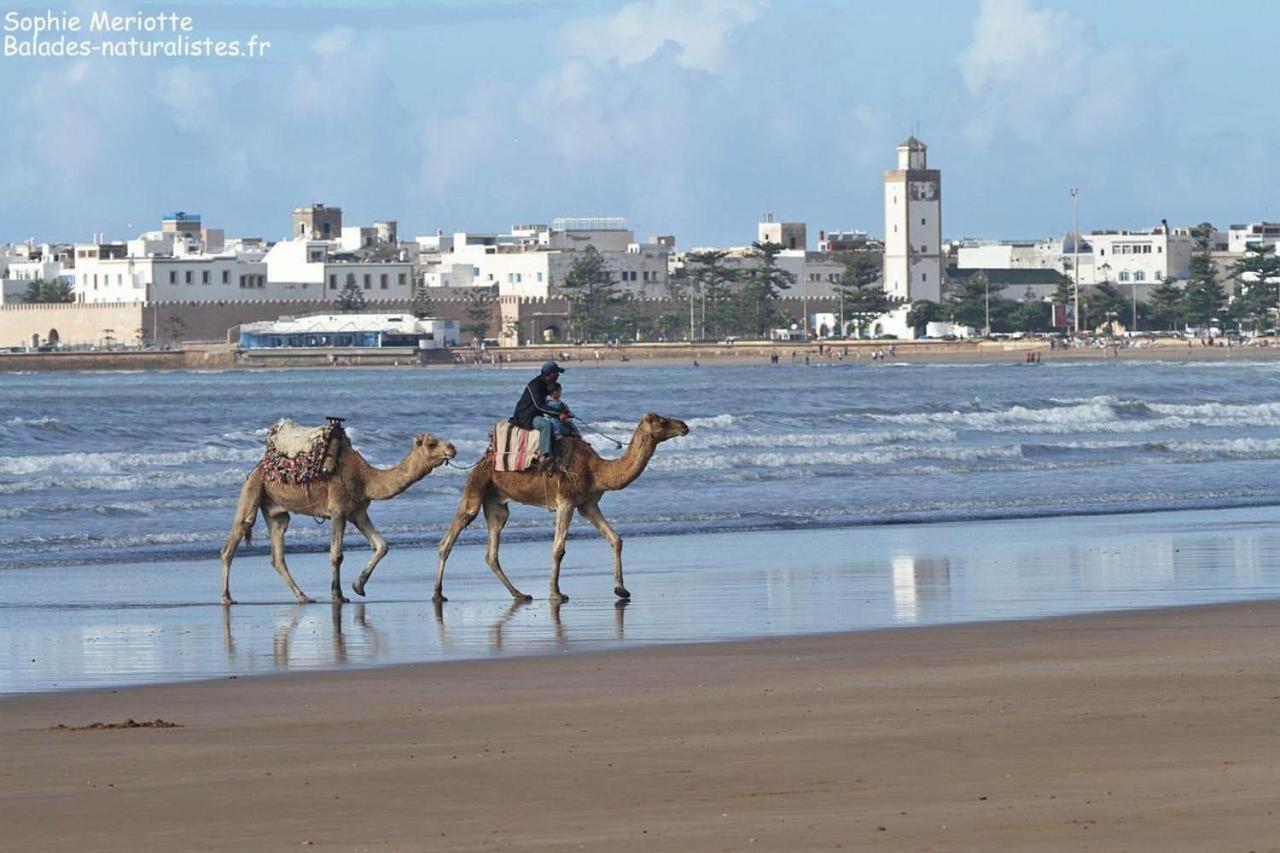 Appartement Essaouira Proche De La Mer Exterior photo